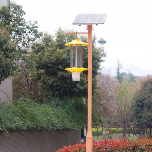 Solar light traps